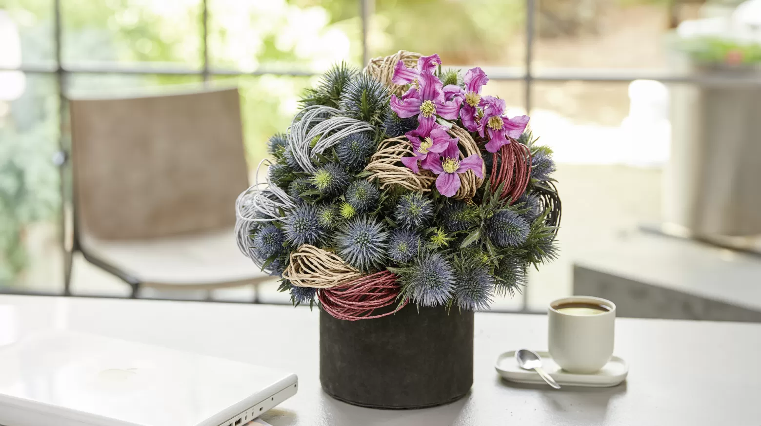 Eryngium Supernova Questar® Marginpar